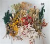 Набор сухоцветов в контейнере в ассортименте - фото 8511