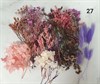 Набор сухоцветов в контейнере в ассортименте - фото 8516