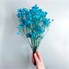Гипсофила голубая Gy_303 - фото 9337