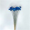 Гликсия синяя, 50 шт. QCNmuIBdgQ7d2ww-8EPm12 - фото 9372