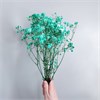 Гипсофила бирюзовая Gy_308 - фото 9389