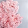 Аспарагус молочно-розовый OLaa8x1Xggbl8G-9d6w7q1 - фото 9395