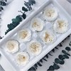 Роза пионовидная 4,5-5 см белая молочная (8) RP8_702-2 - фото 9417