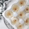 Хризантема белая (9) wlDut5Q5hjtL7R88ULL6F0 - фото 9433