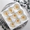 Хризантема белая (9) wlDut5Q5hjtL7R88ULL6F0 - фото 9434