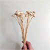 Ботао белый WShVJ5Y7hntVfptaP85Hp3 - фото 9474