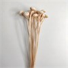 Ботао белый WShVJ5Y7hntVfptaP85Hp3 - фото 9475