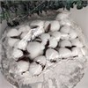 Хлопок коробочки искусственный белый FdlILo8UglrLqSNqCelyU0 - фото 9478