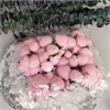 Хлопок коробочки искусственный розовый KxLMllNoiwCiJm4rp2JZU3 - фото 9483