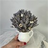 Кувшинчик с лавандой и аммобиумом FvD2rYeGifZnkeZsKKi2t1 - фото 9716
