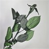 Стебли роз стабилизированные 45-50 см, 1 шт. y-LT16qGi8-ZP2rH9SH1g0 - фото 9721