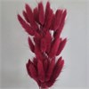 Лагурус  50-60 шт. красно-розовый EvIHgVV7g2oHGhnKTgVjh0 - фото 9751