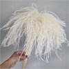 Мискантус белый (аурея), 10 шт. WTX9aceFhOhiWpp2lpdBO3 - фото 9759