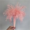Мискантус мини розовый fLblKFrnjHRjtGI80zf9u2 - фото 9768