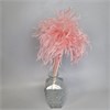 Мискантус мини розовый fLblKFrnjHRjtGI80zf9u2 - фото 9771