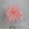 Мискантус мини розовый fLblKFrnjHRjtGI80zf9u2 - фото 9772