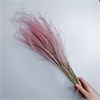 Ковыль светло-розовый 0be3pYBZiPq2yPx9bDE591 - фото 9845