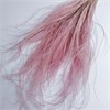 Ковыль светло-розовый 0be3pYBZiPq2yPx9bDE591 - фото 9846